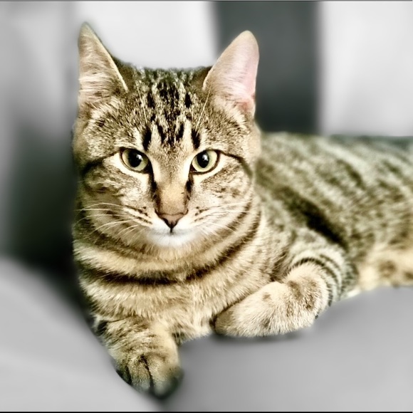 Alex & Ali - Picture 1 of 9